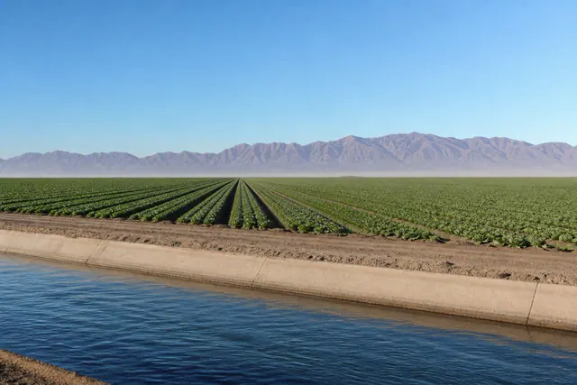 Laser-leveled winter lettuce rows near Yuma with a concrete irrigation canal in the foreground and bare desert mountains beyond