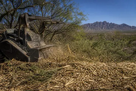 Drum mulcher grinding through a mesquite stand on a creosote flat near Yuma, chips arcing in hard sunlight