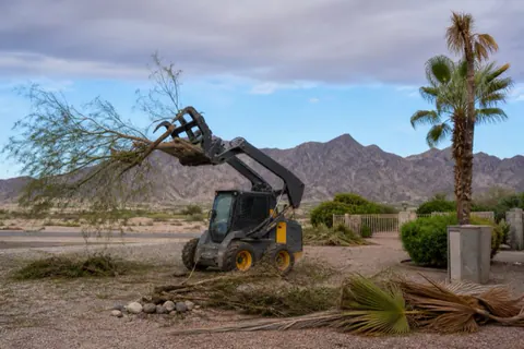Grapple loader lifting a wind-snapped athel limb from a gravel yard after a Yuma monsoon storm, palm fronds raked in piles